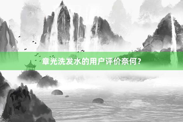 章光洗发水的用户评价奈何？